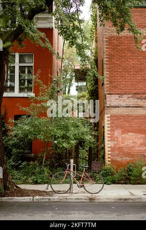 Moderna bicicletta rossa parcheggiata sul marciapiede vicino ad edifici di alberi e mattoni in Canada Street Foto Stock