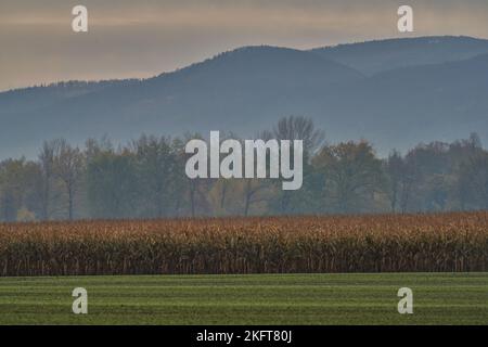 Novembre autunno nebbie nubi nebbie sogie Gory Montagne bassa Slesia Polonia Foto Stock