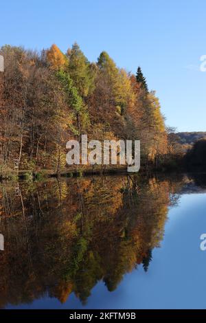 Ripresa di una foresta autunnale riflessa in un lago Foto Stock