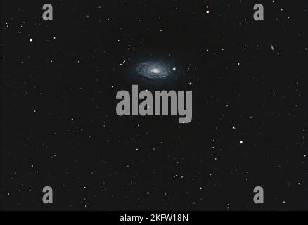 Galassia di girasole Foto Stock