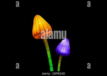 Vista di una leggera installazione di funghi fata isolato su uno sfondo nero. Figurine di carta di funghi psichedelici che si illuminano al buio Foto Stock
