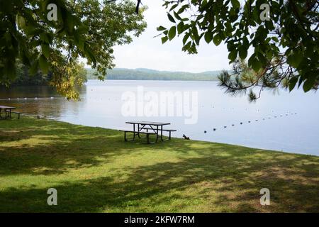 Tavolo da picnic umido e shiy con acqua e boutys sul retro Foto Stock