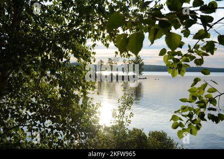Tavolo da picnic umido e shiy con acqua e boutys sul retro Foto Stock