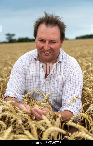 Agricoltore che controlla la crescita di un campo di grano, Northumberland, Regno Unito. Foto Stock