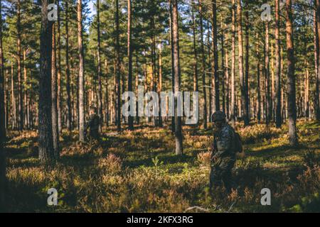 U.S. Marines with Combat Logistics Battalion 6 (CLB-6), Combat Logistics Regiment 2, 2nd Marine Logistics Group, pattugliamento attraverso una foresta durante un esercizio di navigazione terrestre in preparazione per l'esercizio di congelamento Winds 22 a Syndalen, Finlandia, 12 ottobre 2022. La Task Force Red Cloud, con sede centrale da elementi del CLB-6, viene distribuita in Finlandia a sostegno degli esercizi SYD 2022 e Freezing Winds 2022 per migliorare l'interdipendenza tra Stati Uniti e Finlandia nel settore marittimo; rafforza la manovra marittima bilaterale all'interno dell'ambiente litoraneo finlandese; E promuovere solide relazioni tra U.S. Marine Cor Foto Stock