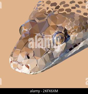 Serpente basso vettore di poli ART Illustrazione Vettoriale