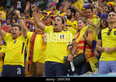 Al Khor, Qatar. 20th Nov 2022. I tifosi dell'Ecuador festeggiano un gol durante la Coppa del mondo FIFA Qatar 2022 Group Una partita tra Qatar ed Ecuador allo Stadio al Bayt di al Khor, Qatar, il 20 novembre 2022. Foto di Peter Dovgan. Solo per uso editoriale, licenza richiesta per uso commerciale. Non è utilizzabile nelle scommesse, nei giochi o nelle pubblicazioni di un singolo club/campionato/giocatore. Credit: UK Sports Pics Ltd/Alamy Live News Foto Stock