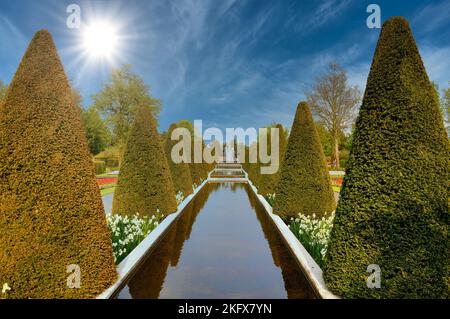 Viale soleggiato con alberi e acqua nel parco Keukenhof in Olanda. Foto Stock