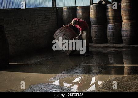 Produttore di barili presso la cooperage Speyside, Craigellachie, Scozia . Foto Stock