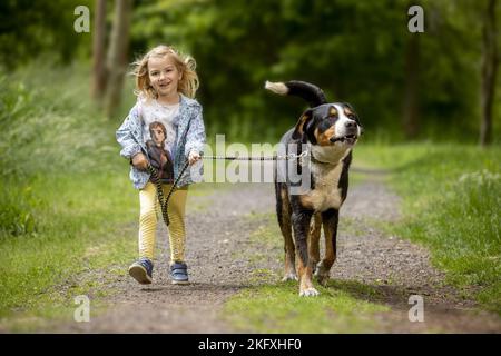 Ragazza giovane con il cane di montagna Svizzero più grande Foto Stock