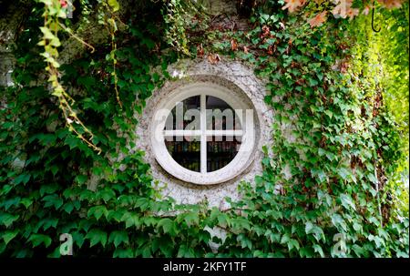 Una romantica rotonda con finestra di edera nel giardino botanico di Augusta, Baviera, Germania Foto Stock