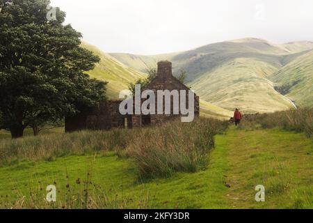 Una casa derelitta, con albero e uomo a Gortenbuie, cannel di Glen, Mull, Scozia, che mostra il paesaggio selvaggio e la campagna collinare circostante Foto Stock