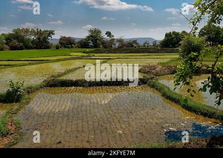 Paesaggio del Madagascar, scenario tipico della campagna malgascia con risaie, colline e valli, piccole case semplici e prati asciutti. Disp Foto Stock