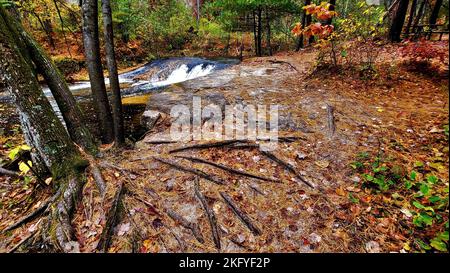 Una scena autunnale di Trout Falls sul fiume la Crosse nella Pine View Recreation Area è mostrata il 14 ottobre 2022, a Fort McCoy, Wisconsin. L'area ricreativa comprende ettari di terreno accessibile al pubblico con sentieri per escursioni, Pine View Campground, Whitetail Ridge Ski Area e Sportsman's Range. La Pine View Recreation Area offre attività durante tutto l'anno, che includono campeggio, escursioni, pesca e molto altro. Ulteriori informazioni sull'area sono disponibili all'indirizzo https://mccoy.armymwr.com/categories/outdoor-recreation. Nel 2022, l'area ricreativa ha celebrato 50 anni di utilizzo e l'area è gestita dalla direzione di Fort McCoy di Foto Stock