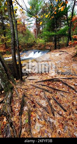 Una scena autunnale di Trout Falls sul fiume la Crosse nella Pine View Recreation Area è mostrata il 14 ottobre 2022, a Fort McCoy, Wisconsin. L'area ricreativa comprende ettari di terreno accessibile al pubblico con sentieri per escursioni, Pine View Campground, Whitetail Ridge Ski Area e Sportsman's Range. La Pine View Recreation Area offre attività durante tutto l'anno, che includono campeggio, escursioni, pesca e molto altro. Ulteriori informazioni sull'area sono disponibili all'indirizzo https://mccoy.armymwr.com/categories/outdoor-recreation. Nel 2022, l'area ricreativa ha celebrato 50 anni di utilizzo e l'area è gestita dalla direzione di Fort McCoy di Foto Stock