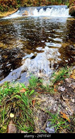 Una scena autunnale di Trout Falls sul fiume la Crosse nella Pine View Recreation Area è mostrata il 14 ottobre 2022, a Fort McCoy, Wisconsin. L'area ricreativa comprende ettari di terreno accessibile al pubblico con sentieri per escursioni, Pine View Campground, Whitetail Ridge Ski Area e Sportsman's Range. La Pine View Recreation Area offre attività durante tutto l'anno, che includono campeggio, escursioni, pesca e molto altro. Ulteriori informazioni sull'area sono disponibili all'indirizzo https://mccoy.armymwr.com/categories/outdoor-recreation. Nel 2022, l'area ricreativa ha celebrato 50 anni di utilizzo e l'area è gestita dalla direzione di Fort McCoy di Foto Stock