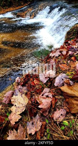 Una scena autunnale di Trout Falls sul fiume la Crosse nella Pine View Recreation Area è mostrata il 14 ottobre 2022, a Fort McCoy, Wisconsin. L'area ricreativa comprende ettari di terreno accessibile al pubblico con sentieri per escursioni, Pine View Campground, Whitetail Ridge Ski Area e Sportsman's Range. La Pine View Recreation Area offre attività durante tutto l'anno, che includono campeggio, escursioni, pesca e molto altro. Ulteriori informazioni sull'area sono disponibili all'indirizzo https://mccoy.armymwr.com/categories/outdoor-recreation. Nel 2022, l'area ricreativa ha celebrato 50 anni di utilizzo e l'area è gestita dalla direzione di Fort McCoy di Foto Stock