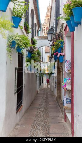 Vicolo stretto a Cordoba, Andalusia, Spagna Foto Stock