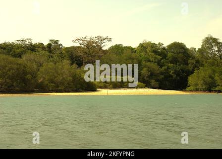 Una vista di una spiaggia sabbiosa e della foresta costiera nel Parco Nazionale di Ujung Kulon, come si vede da una barca che naviga sulle acque costiere di Pandeglang, Banten, Indonesia. Foto Stock