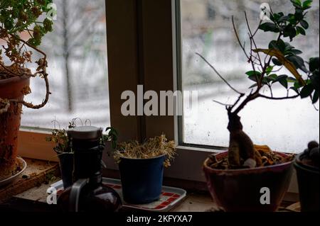 Schnee cade ad Hannover .Linden. Foto Stock