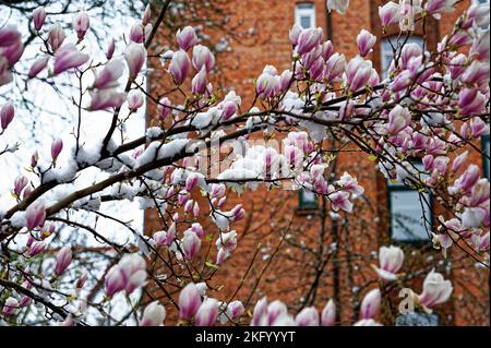 Schnee cade ad Hannover .Linden. Foto Stock