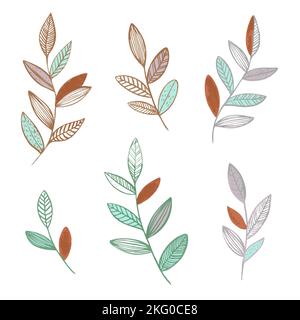 Insieme di piante selvatiche della foresta. Disegno vettoriale minimalista a mano. Illustrazione Vettoriale