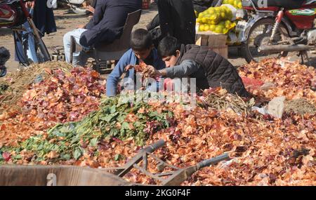 Ismalabad, Pakistan. 20th Nov 2022. I ragazzi rifugiati afghani lavorano in un mercato vegetale per guadagnarsi da vivere per le loro famiglie a Islamabad. Che stanno godendo giocare nel loro tempo libero. Migliaia di bambini sono impegnati nel lavoro minorile in Pakistan. Funzionari e rappresentanti del governo pakistano hanno dichiarato in occasione della Giornata Internazionale dei Bambini che il governo dà priorità ai diritti dei bambini. (Credit Image: © Raja Imran/Pacific Press via ZUMA Press Wire) Foto Stock