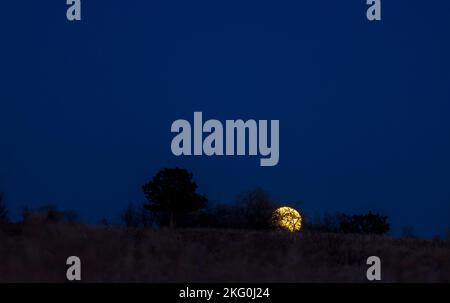 Alba sopra la prateria in Colorado. La luna che entra nella luna piena Foto Stock