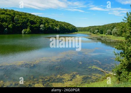 Il lago Borovik si trova a ovest di Đakovo ed ha una forma allungata. Borovik è uno dei posti più attraenti in Croazia e in questa parte d'Europa Foto Stock