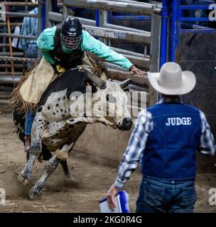 Sgt. Dell'esercito degli Stati Uniti Fredie Cohen, un soldato assegnato alla 1st° Divisione Fanteria al comando della Guardia a colori montata del Generale, cavalca un toro al Professional Armed Forces Rodeo di Topeka, Kansas, 20 ottobre 2022. Il CGMCG ha avuto molti dei suoi membri partecipare al rodeo. Foto Stock