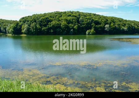 Il lago Borovik si trova a ovest di Đakovo ed ha una forma allungata. Borovik è uno dei posti più attraenti in Croazia e in questa parte d'Europa Foto Stock