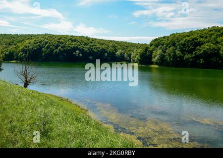 Il lago Borovik si trova a ovest di Đakovo ed ha una forma allungata. Borovik è uno dei posti più attraenti in Croazia e in questa parte d'Europa Foto Stock