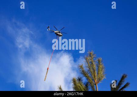 Elicottero Heliwest e sega aerea per tagliare alberi da linee elettriche contro il cielo. Cima di pino in primo piano, sfocato. Salo, Finlandia. Febbraio Foto Stock