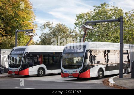 Autobus elettrici del Koelner Verkehrs-Betriebe KVB presso una stazione di ricarica su Alfred-Schuette-Allee nel quartiere di poll, Colonia, Germania. Elektrobus Foto Stock