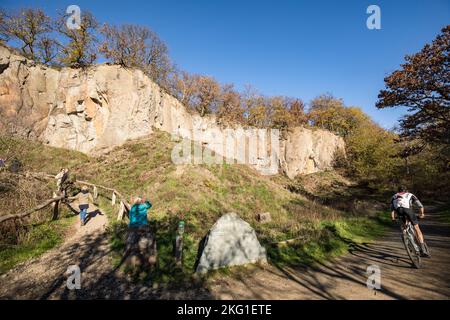 Parete rocciosa del monte Stenzelberg nella catena montuosa di Siebengebirge vicino a Koenigswinter, la montagna serviva come cava per latite di quarzo fino al Foto Stock