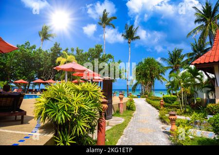 Bungalows e palme, Haad Yao beach, Koh Phangan isola, Suratthani, Thailandia Foto Stock