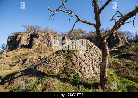 Parete rocciosa del monte Stenzelberg nella catena montuosa di Siebengebirge vicino a Koenigswinter, la montagna serviva come cava per latite di quarzo fino al Foto Stock
