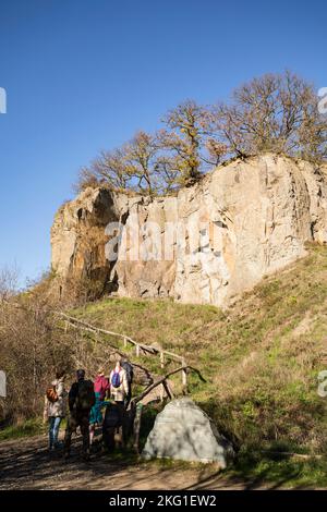 Parete rocciosa del monte Stenzelberg nella catena montuosa di Siebengebirge vicino a Koenigswinter, la montagna serviva come cava per latite di quarzo fino al Foto Stock