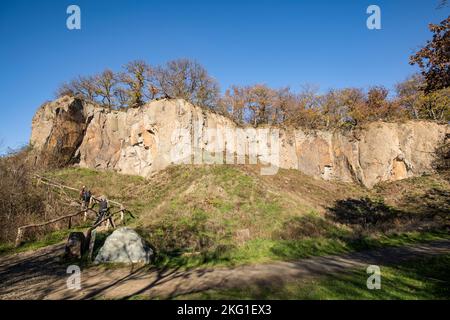 Parete rocciosa del monte Stenzelberg nella catena montuosa di Siebengebirge vicino a Koenigswinter, la montagna serviva come cava per latite di quarzo fino al Foto Stock