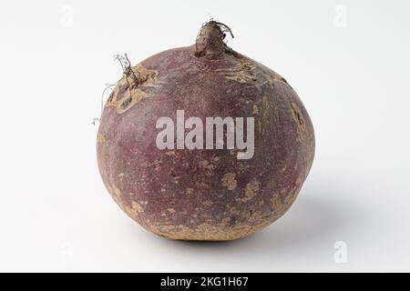 barbabietola, beta vulgaris isolato su sfondo bianco Foto Stock