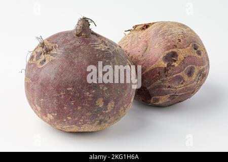 barbabietola, beta vulgaris isolato su sfondo bianco Foto Stock