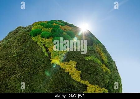 Pianeta verde Terra da muschio naturale. Simbolo dello sviluppo sostenibile e delle energie rinnovabili Foto Stock