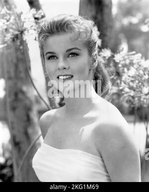 ANN-MARGRET in BYE BYE BIRDIE (1963), diretto da GEORGE SIDNEY. Credit: FOTO DI COLUMBIA / Album Foto Stock