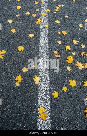 Epsom, Surrey, Londra Regno Unito, novembre 19 2022, foglie d'autunno caduto giallo dorato sdraiate sul terreno senza persone Foto Stock