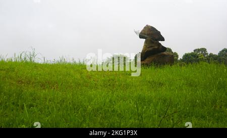 pietre disposte accatastate in una bella erba verde Foto Stock