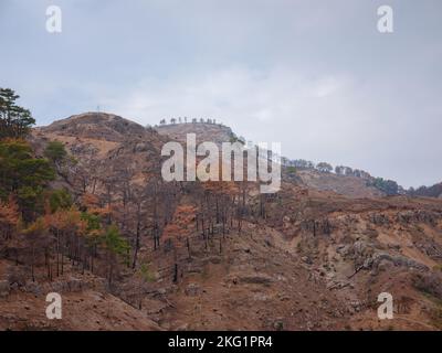 Dal 28° luglio 2021 la Turchia sta combattendo gli incendi boschivi. Foreste a Manavgat dopo il fuoco del 2021. Lavori per rimuovere gli alberi bruciati dalle montagne toro della regione di Antalya, Turchia dopo l'incendio della foresta Foto Stock