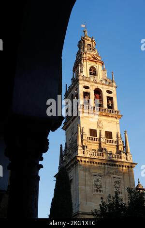 Moschea Cattedrale di Cordoba. Il campanile. Spagna. Foto Stock