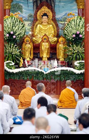 Tempio buddista Thien Quang Co Tu. Cerimonia buddista. Tan Chau. Vietnam. Foto Stock