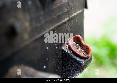 Foro di riempimento per il riempimento dell'olio e astina di livello per il controllo del livello dell'olio. Collo del bocchettone di rifornimento sul corpo di un trattore con operatore a distanza ravvicinata su uno sfondo sfocato Foto Stock