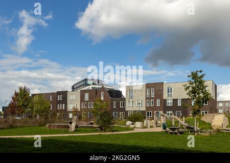 Parco vicino illuminato dal sole in primo piano e fila di case contemporanee con l'alto Foto Stock